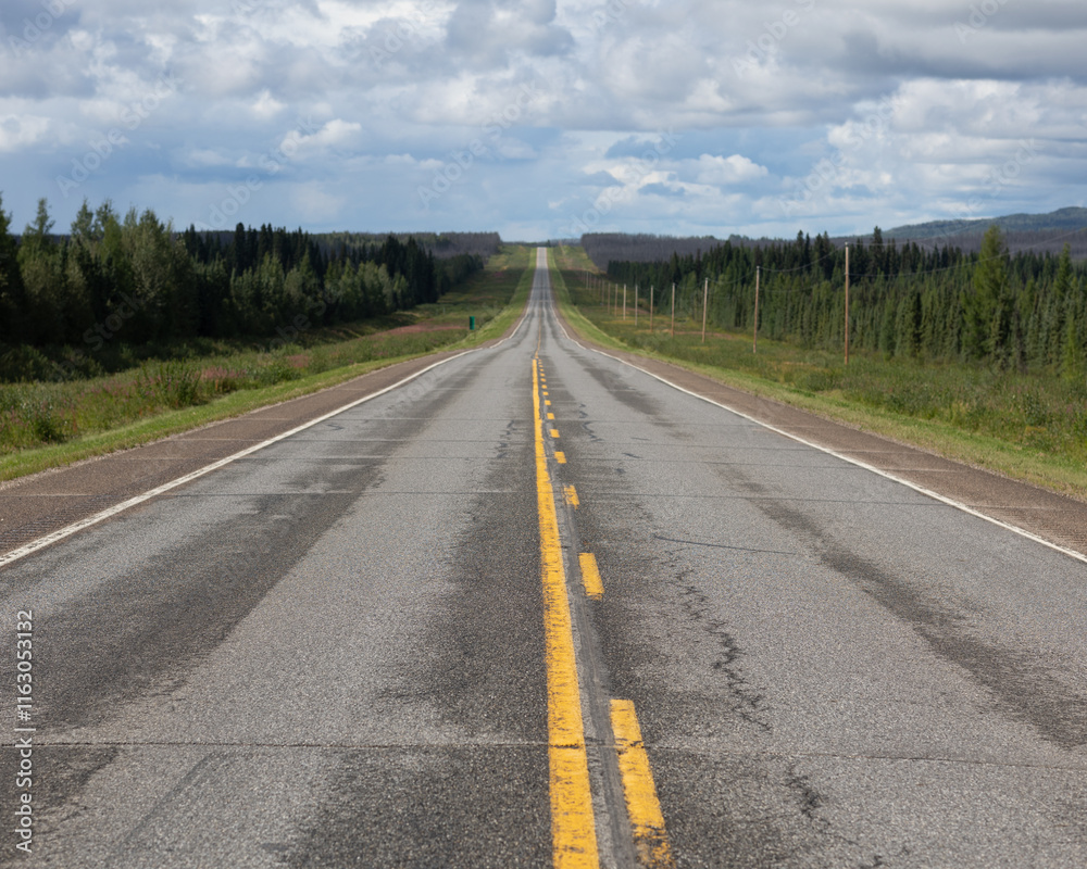 Naklejka premium A straight open road with yellow dividing lines stretches into the distance under a partly cloudy sky, surrounded by lush green trees and natural scenery.
