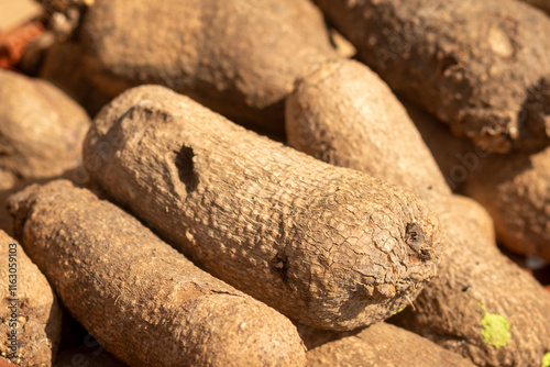Pile of white African yam
