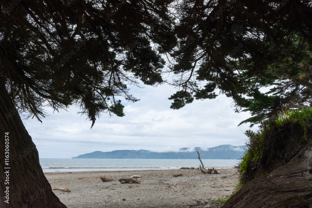 View of Kapiti island through trees from Raumati Beach View of Kapiti island through trees from Raumati Beach