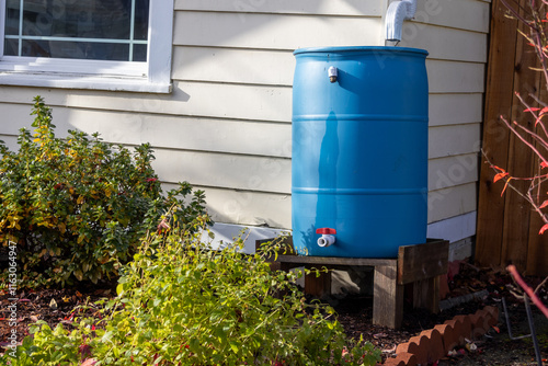 Rain barrel on gutter for garden