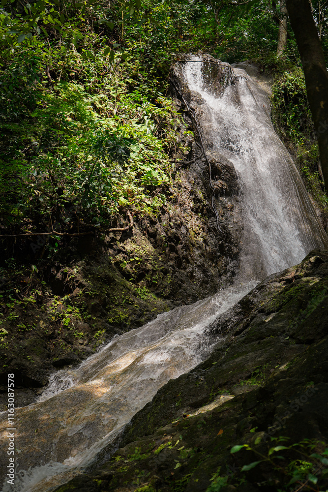 Naklejka premium waterfall in the forest