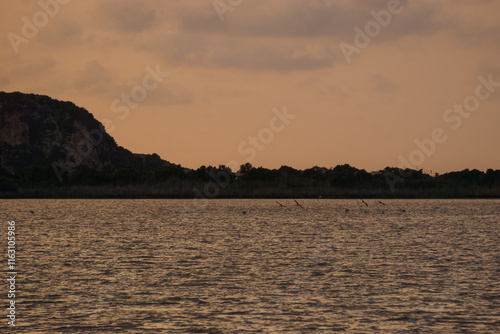 Idyllic landscape of Gialova Lagoon with flamingos during evening twilight after sunset on a spring day, Messinia, Peloponnese, Greece photo