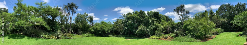 Indigenous South African garden with aloes Indigenous South African garden with aloes
