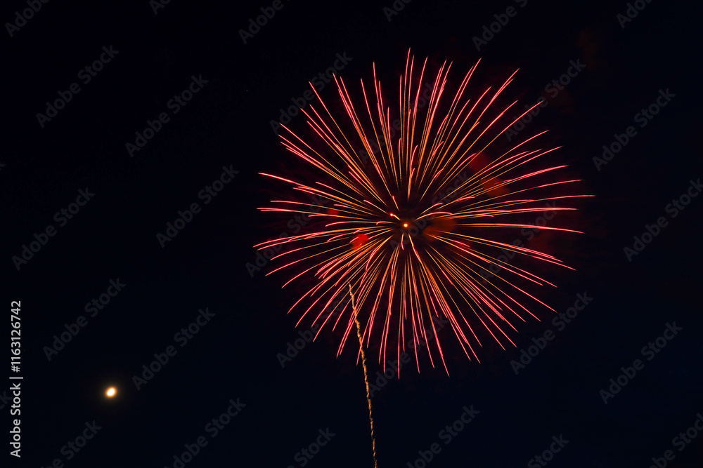 花火 花火