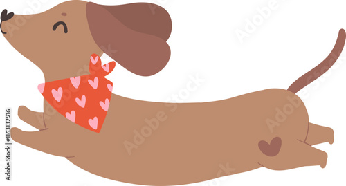 Cute Valentine Dog Dachshund wears heart bandana