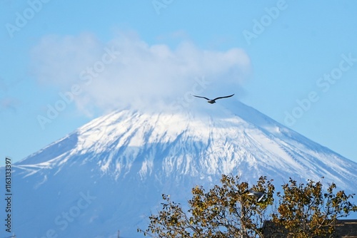 Travel in Japan. Various scenes of Mt. Fuji. Mt. Fuji shows various beautiful scenes depending on the season and time of day. photo