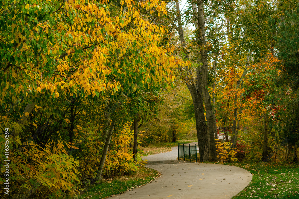 Naklejka premium autumn in the park