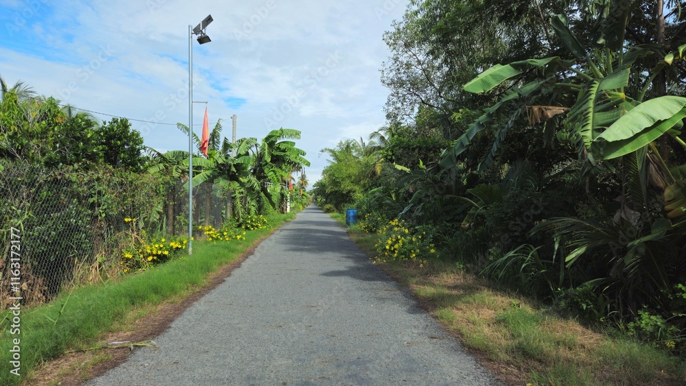 A narrow village path in countryside of Mang Thit district, Vinh Long province, Mekong Delta Vietnam in the morning.