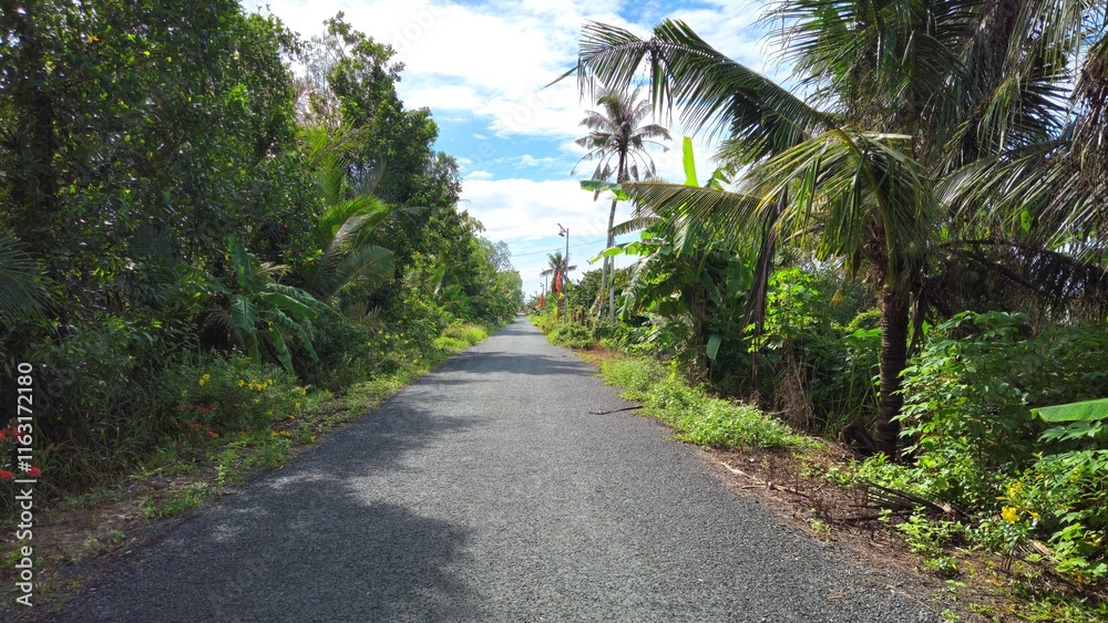A narrow village path in countryside of Mang Thit district, Vinh Long province, Mekong Delta Vietnam in the morning. A narrow village path in countryside of Mang Thit district, Vinh Long province, Mekong Delta Vietnam in the morning.