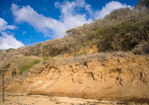 Dry Switchback Trail at Diamond Head Crater, Oahu, Hawaii.