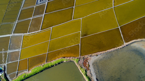 Bild auf Leinwand aveiro ria portugal