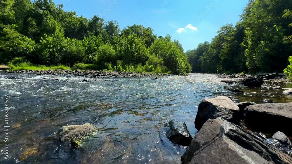 Peaceful Water Flow Surrounded by Trees and Leaves Peaceful Water Flow Surrounded by Trees and Leaves
