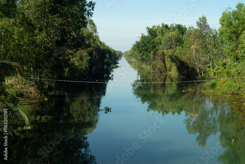 A River of Green: Life Along a Cajuput-Lined Stream
The sun, a fiery orb, paints the sky in hues of orange and pink as it begins its descent. Its rays filter through the dense canopy of cajuput trees  photo