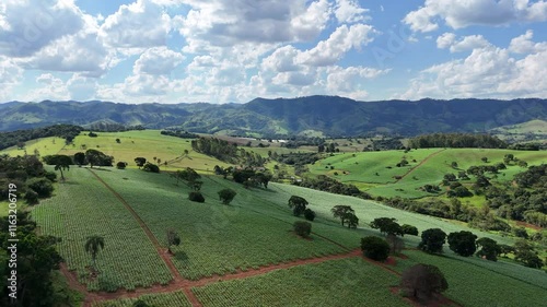 Campo Verde Minas Gerais