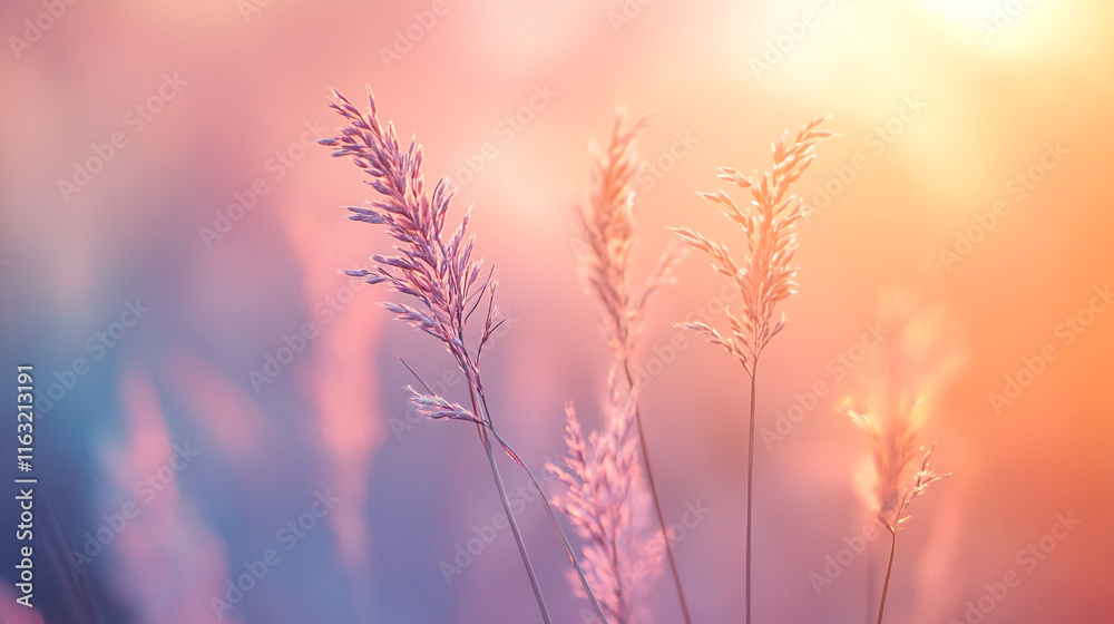 Golden light illuminating delicate grass in a serene outdoor setting at sunset Golden light illuminating delicate grass in a serene outdoor setting at sunset