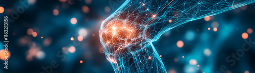 Human Knee Joint, Network of Pain Signals Illuminates Inflammation, Affecting Mobility Significantly.