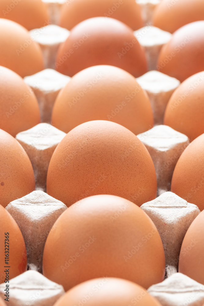 Close-up of raw chicken eggs in cardboard tray Close-up of raw chicken eggs in cardboard tray