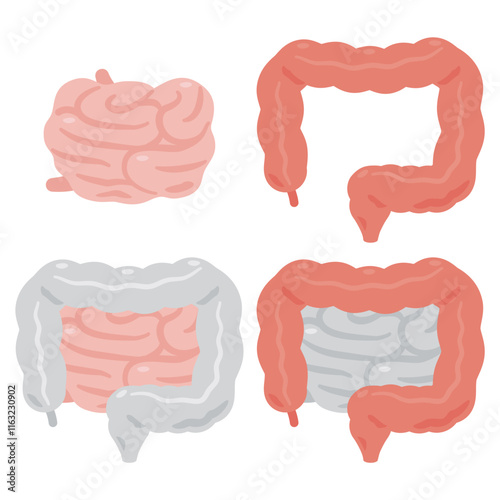 健康でキレイな大腸と小腸のイラストセット