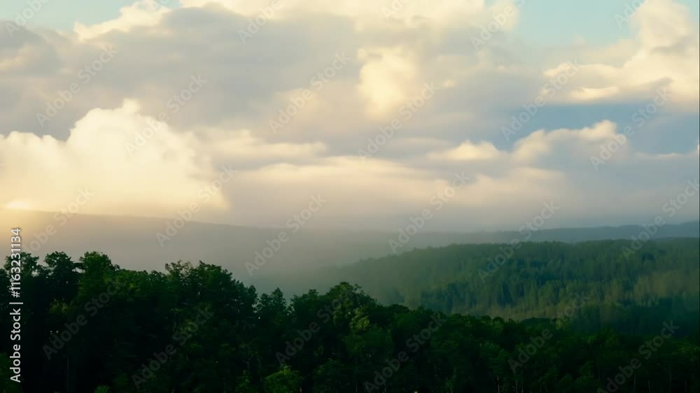 Serene Landscape of Lush Green Forest with Misty Mountains and Dramatic Cloudy Sky at Dawn, Evoking Tranquility and Natural Beauty in Wilderness Serene Landscape of Lush Green Forest with Misty Mountains and Dramatic Cloudy Sky at Dawn, Evoking Tranquility and Natural Beauty in Wilderness