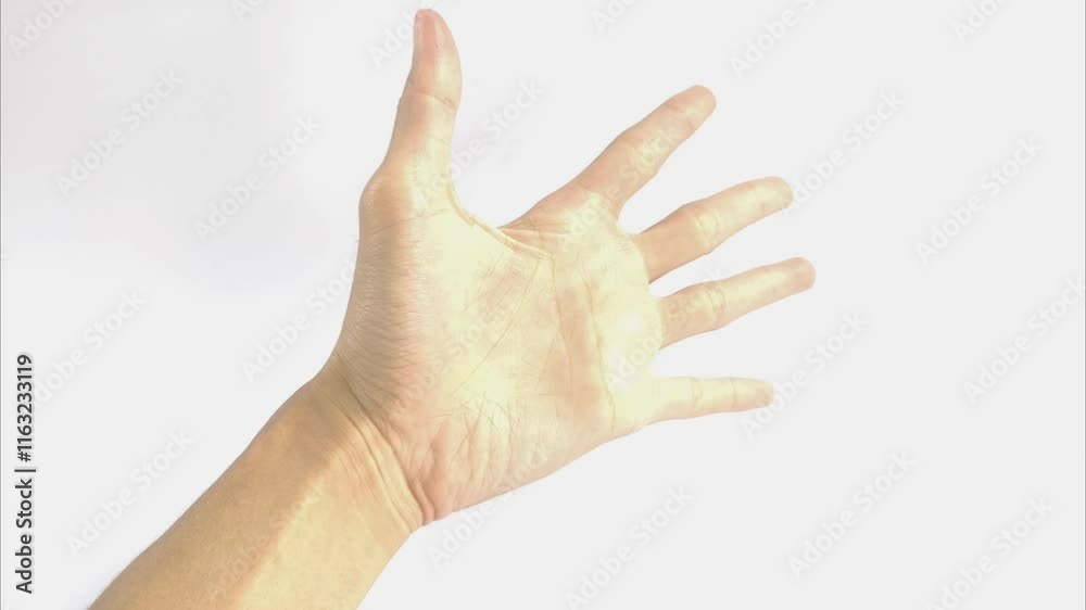 A person's left hand opens and closes continuously, on a white background. A person's left hand opens and closes continuously, on a white background.