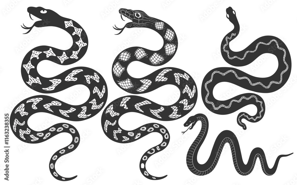 Obraz premium Intricate Black and White Snake Illustrations