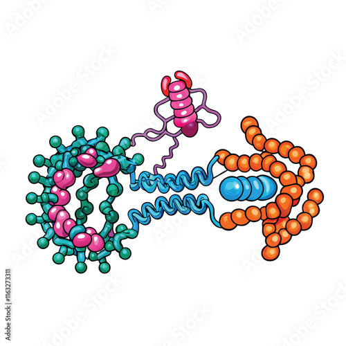 Illustrate the complete process of eukaryotic protein synthesis, including transcription, mRNA processing, translation, and ribosome function.  Show all key players.