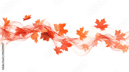 Autumn maple leaves blowing in the air. Movement and natural flow with isolated against white background