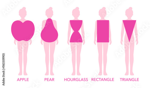 Woman Body Shapes Triangle, Rectangle, Apple, Pear and Hourglass