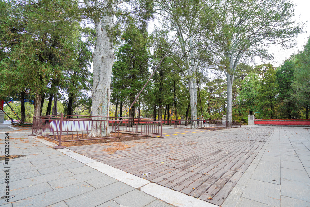 Songtang Scenery of Summer Palace in Beijing