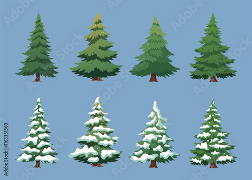 Pine tree on white background, realistic Christmas tree vector illustration