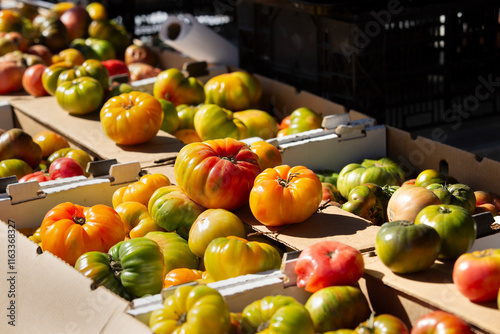 A view of several boxes of colorful heirloom tomatoes, seen at a local farmers market.