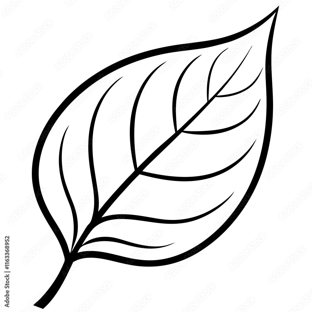 Delicate Leaf Outline Design Delicate Leaf Outline Design