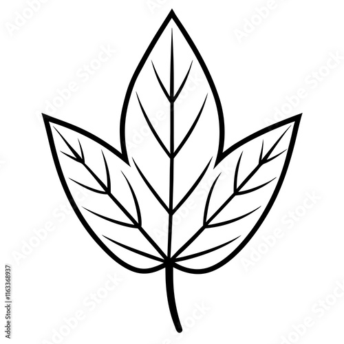 Delicate Leaf Outline Design