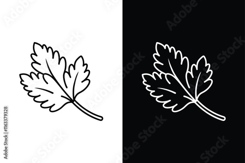 Modern Cilantro Herb Vector for Spice and Culinary Themes photo