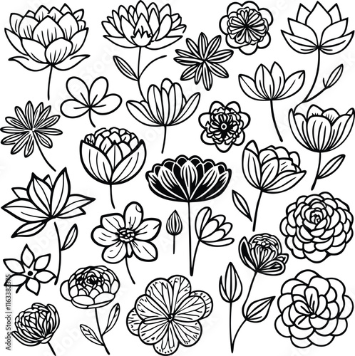  set  consistent line art flowers garden gl silhouette vector  