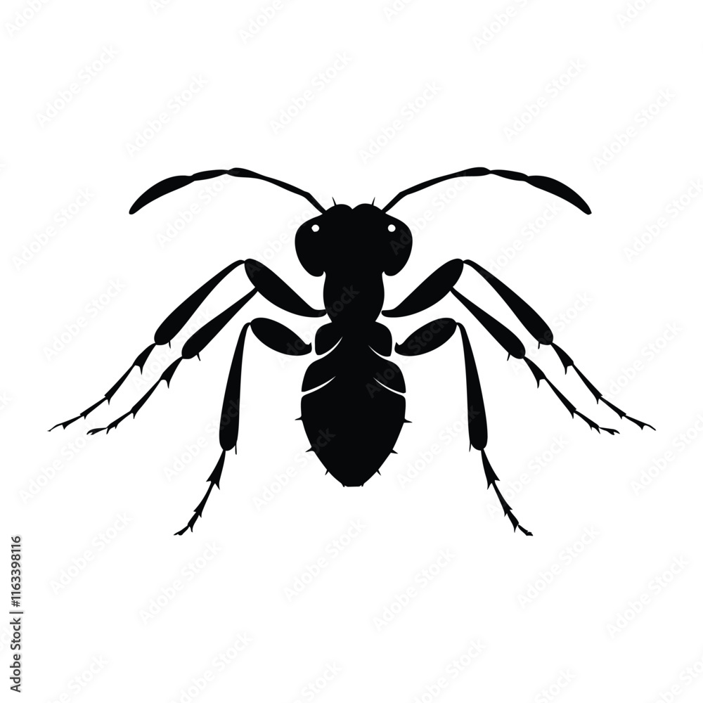 Ant simple minimal black silhouette vector art Ant simple minimal black silhouette vector art