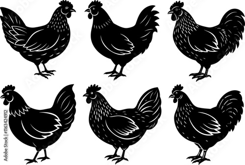 Set of Chicken Silhouettes on a Clean White Background