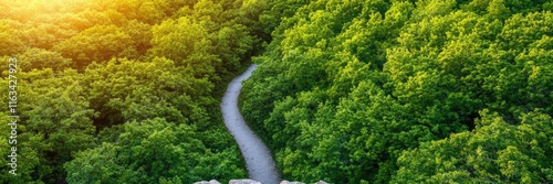 Scenery sightseeing concept. A scenic view of a winding path through lush green forest at sunset. photo