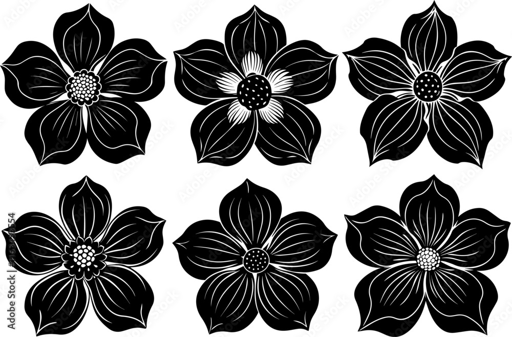 Set of dogwood flower silhouette vector illustration Set of dogwood flower silhouette vector illustration