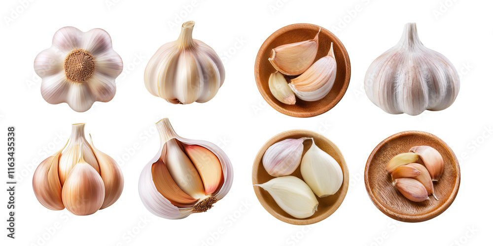 Fototapeta premium Fresh Garlic Varieties on Transparent Background