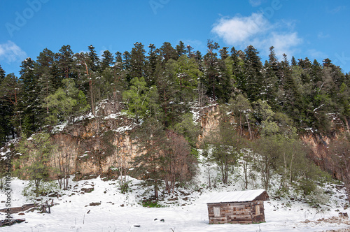 Winter forest in the mountains of Adygea, Krasnodar region, Republic of Adygea.
 photo