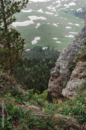 View of the Lago Naki plateau from the mountain peaks of the Caucasus Mountains, Krasnodar Krai, Republic of Adygea.  A lonely tree on the top of a mountain. photo