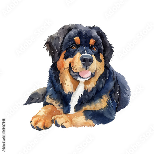 tibetan mastiff vector illustration in watercolor style