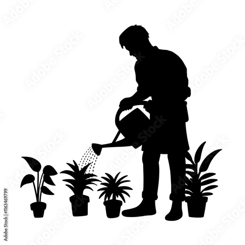 Silhouette of a Person Watering Potted Plants