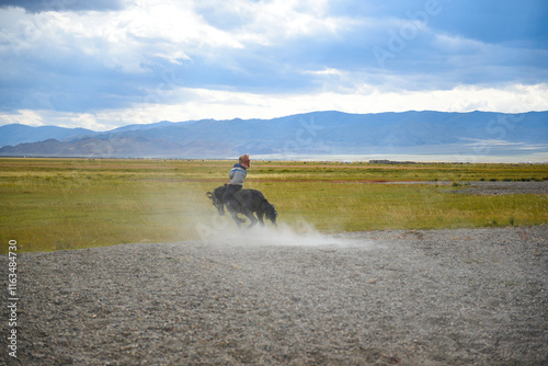 Mongolian horseman training a horse using traditional techniques on the open steppe, reflecting the country’s nomadic equestrian culture and traditional lifestyle.