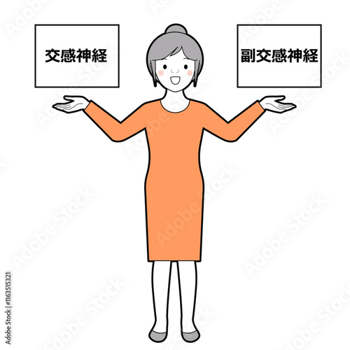 交感神経と副交感神経のバランス