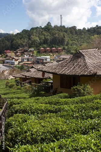 Ban Rak Thai, Mae Hong Son, Thailand photo