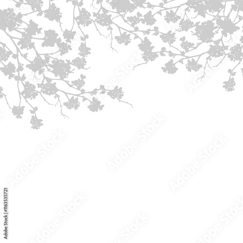 Silhouette Cherry Blossom Shadow on white background, Illustration isolated Shadow Sakura branches overlay,Elements design decoration for Spring,Summer Backdrop Background on Mothers Day,Valentine Day