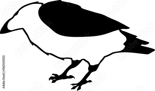 Bird Raven Crow Black Silhouette for Icon.