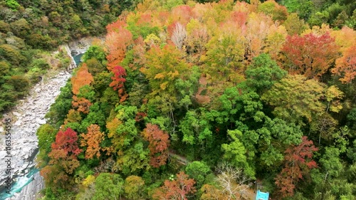 Aerial view of autumn landscape, Hsinchu ,Jianshi Xiuluan Maple Forest in Taiwan photo